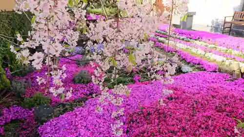 寿量山　速成寺の庭園