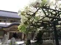 総持院(和歌山県)
