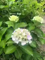 石内のお大師さん 金剛院(広島県)