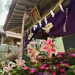 糀谷八幡宮(埼玉県)