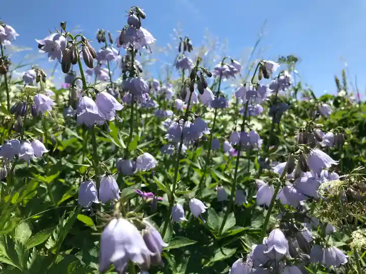 月山神社本宮の自然