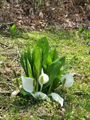 鹿島大神宮(福島県)
