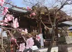 行田八幡神社の自然