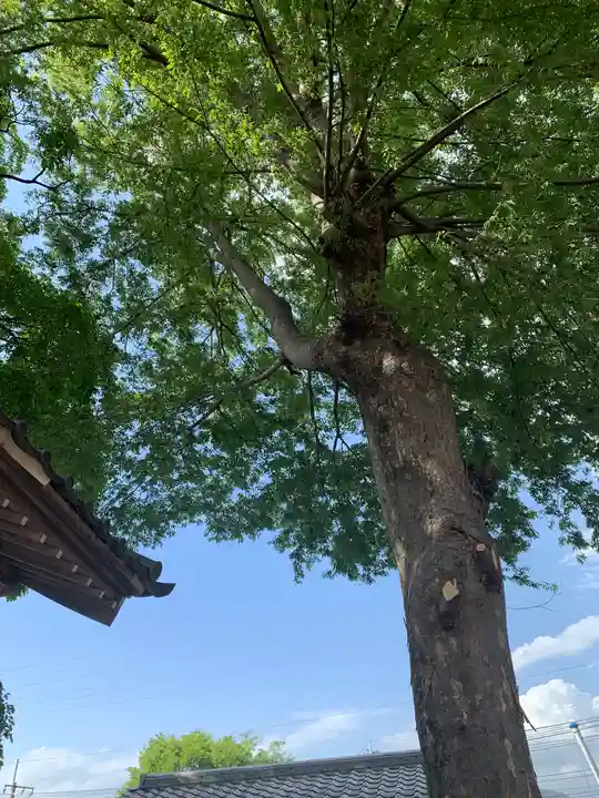 大手神社のその他建物