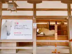 金刀比羅宮の動物