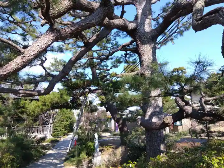 南宗寺(大阪府)
