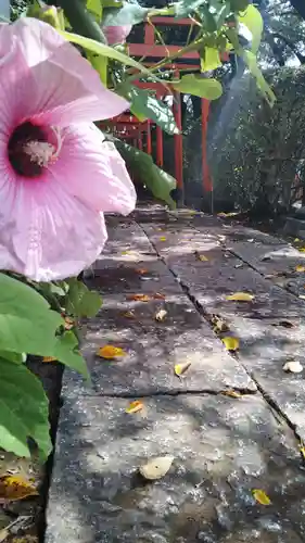 尾曳稲荷神社のその他建物