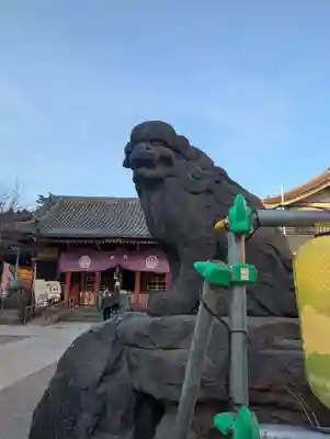 浅草神社の狛犬