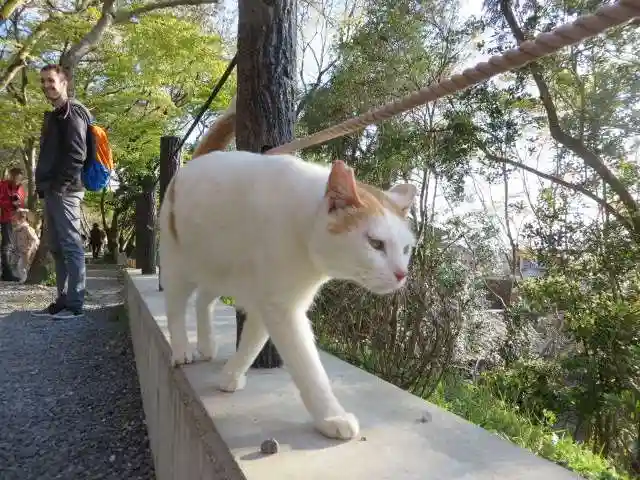 熊野若王子神社(京都府)