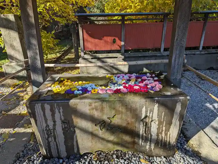 前玉神社(埼玉県)