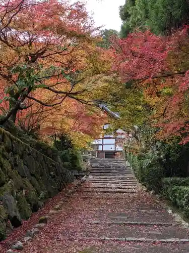 正伝護国禅寺(正伝寺･正傳寺)のその他建物