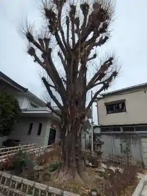念速寺(東京都)