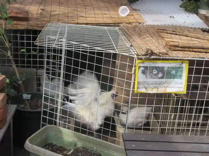 榮久山大法寺(東京都)