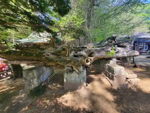 野木神社の建物その他