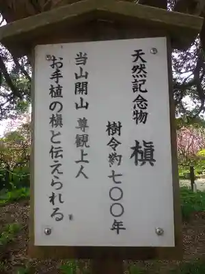 安養院　(田代寺）の歴史