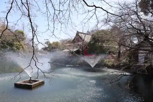 井の頭弁財天（大盛寺）(東京都)
