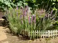 福王山 慈眼寺(東京都)