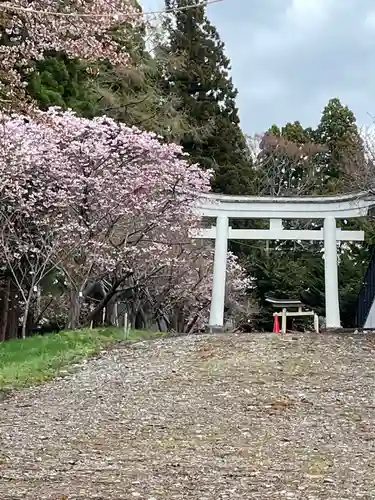 矢不来天満宮の鳥居