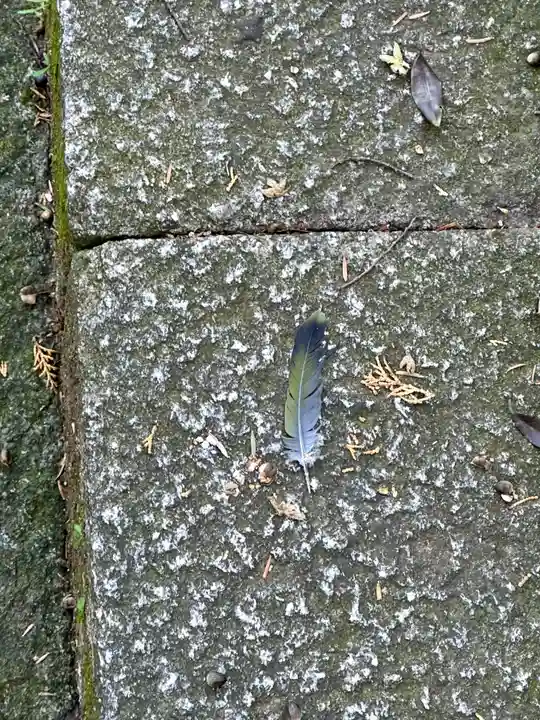 豊国廟(豊国神社飛地境内)(京都府)