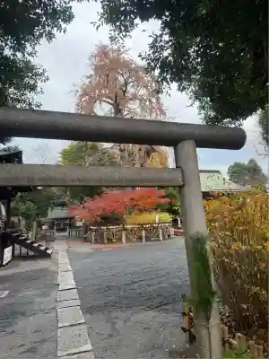 七社神社(東京都)