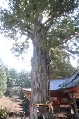 北口本宮冨士浅間神社(山梨県)