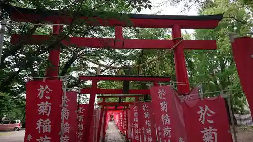 於菊稲荷神社の鳥居