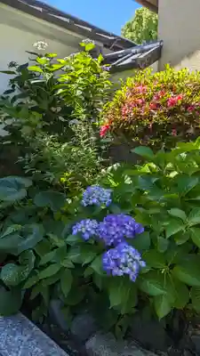 大乗院(京都府)