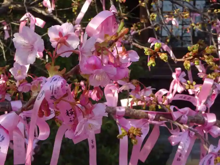 桜神宮のその他建物