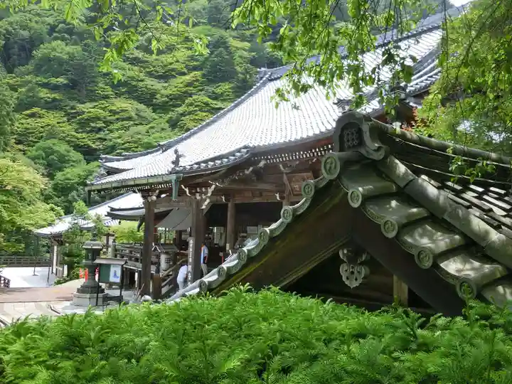 善峯寺の本殿・本堂