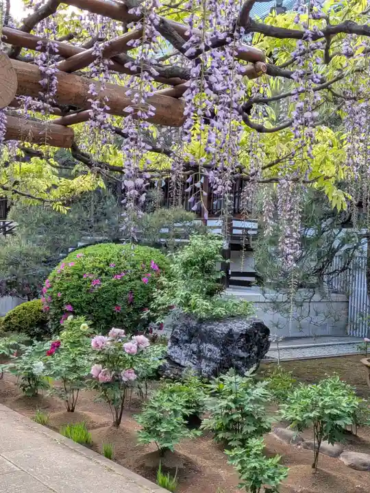 愛染院(東京都)