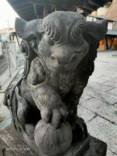 太田杉山神社・横濱水天宮の狛犬