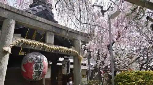 雨宝院の鳥居