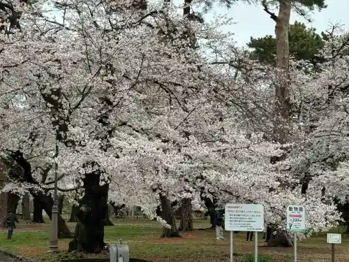 武蔵一宮氷川神社(埼玉県)