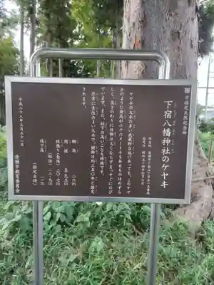下宿八幡神社の歴史