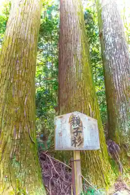 深山神社(宮城県)