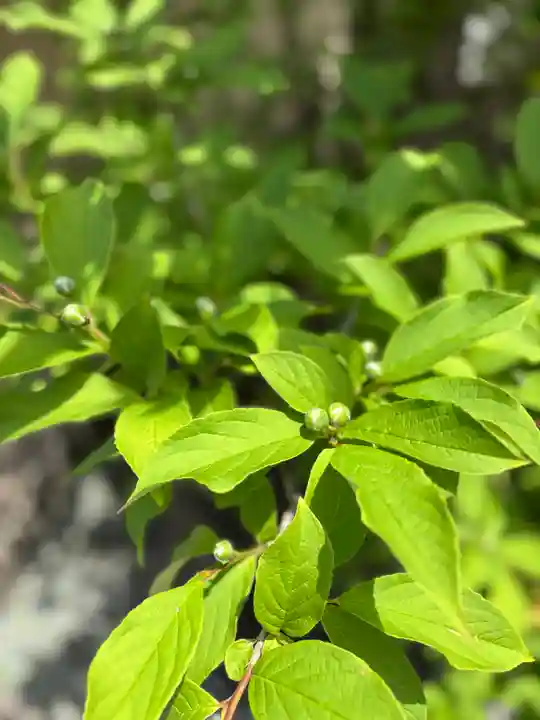 観音寺(兵庫県)