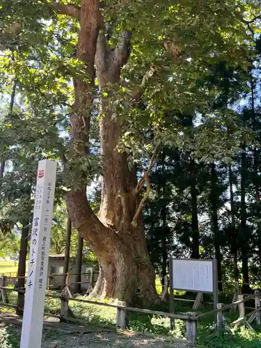 光清寺(山形県)