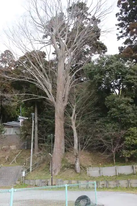 田間神社の自然