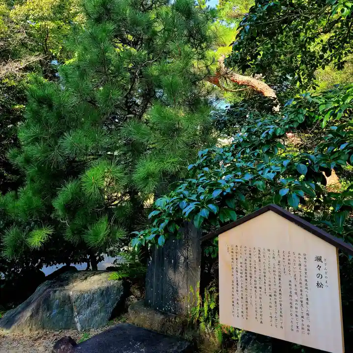 浜松八幡宮(静岡県)