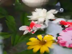 今市報徳二宮神社の手水