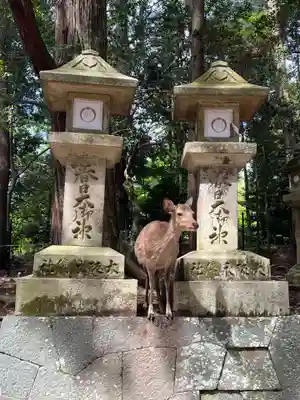 春日大社(奈良県)