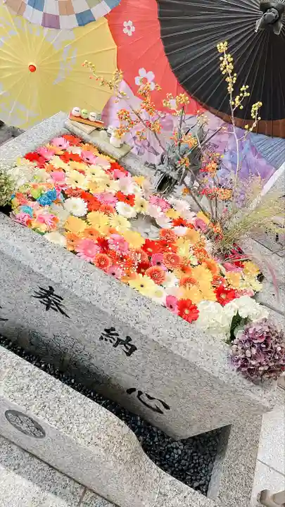 札幌諏訪神社の手水舎