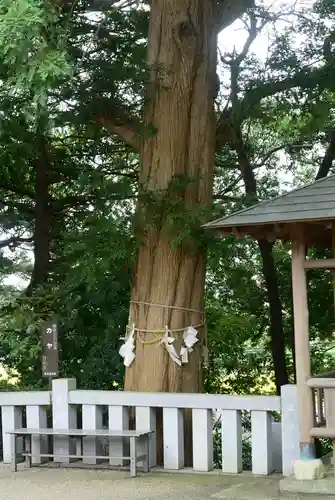 神鳥前川神社の自然
