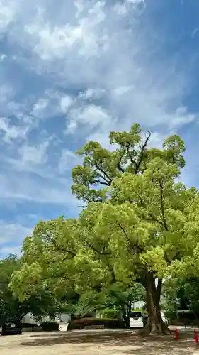 石清水八幡宮(京都府)