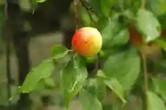 天神社の自然