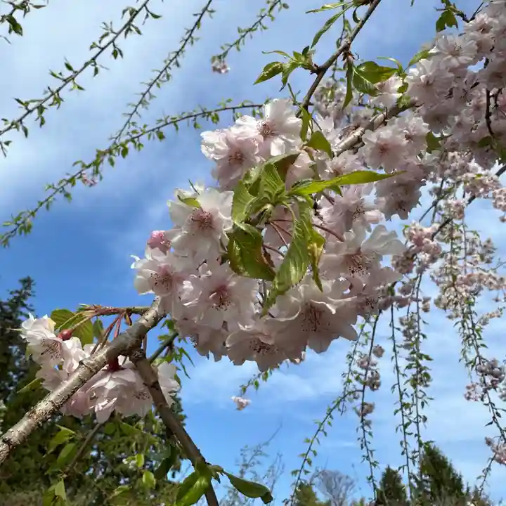 豊景神社(福島県)