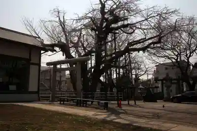 豊受神社(千葉県)