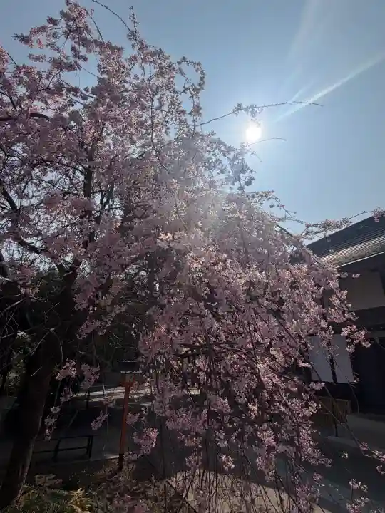 太道教本部の{uncategorized: "未分類", other: "その他", undefined: "問題あり", building: "その他建物", grave: "お墓", sacred_gate: "鳥居", guardian: "狛犬", statue: "像", buddha: "仏像", history: "歴史", nature: "自然", garden: "庭園", animal: "動物", pagoda: "塔", temizu: "手水舎", mountain_gate: "山門・神門", sanctuary: "本殿・本堂", subordinate: "末社・摂社", art: "芸術", scenery: "景色", jizo: "地蔵", ema: "絵馬", goshuin: "御朱印", omikuji: "おみくじ", items: "授与品その他", amulet: "お守り", goshuincho: "御朱印帳", eats: "食事", festival: "お祭り", votive_dance: "神楽", shichigosan: "七五三参", wedding: "結婚式", experience: "体験その他", initially: "初詣", around: "周辺", anti_infection: "感染症対策"}