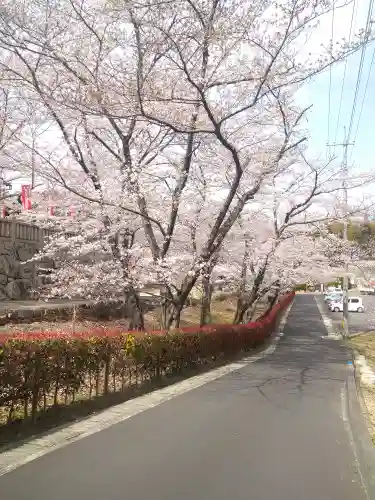 法輪寺の景色