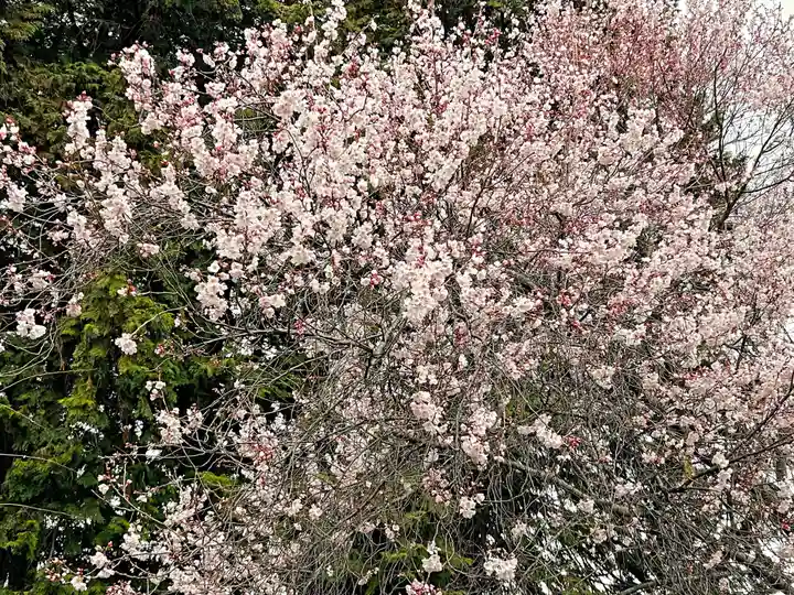 南宮大神社の自然